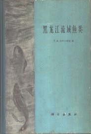 黑龙江流域鱼类