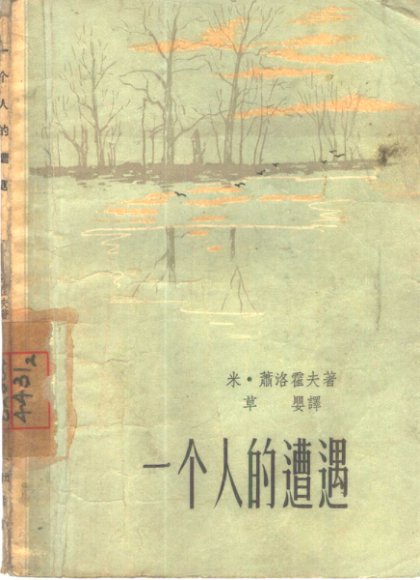 一个人的遭遇