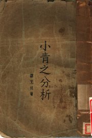 小青之分析