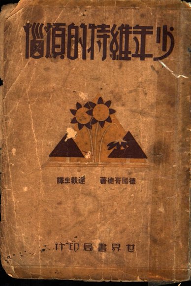 少年维特的烦恼