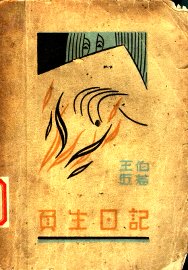 负生日记  第2版