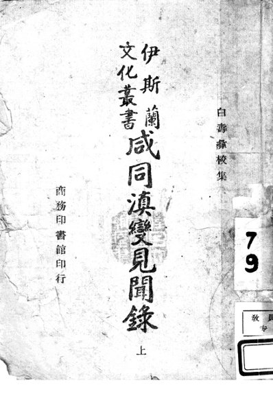 咸同滇变见闻录  上