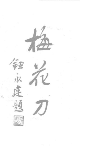 梅花刀图说