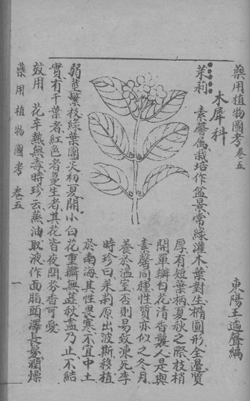 药用植物图考  卷5