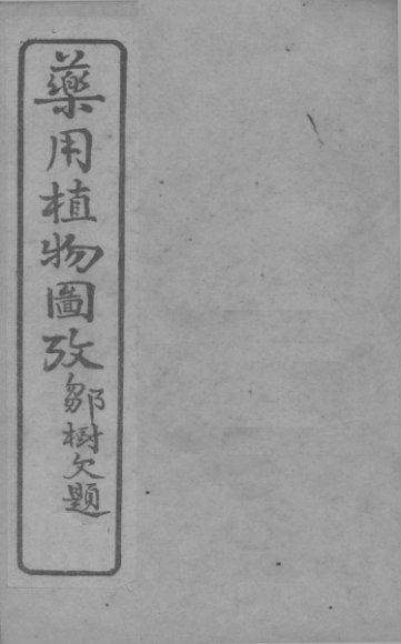 药用植物图考  卷2