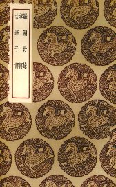 罗湖野录 - 封面图