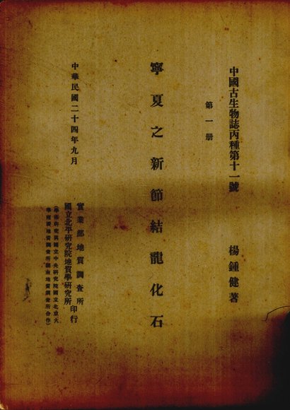 宁夏之新加节结龙化石  第1册