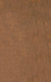 外科正宗  卷1-2