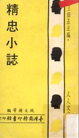 精忠小志 - 封面图