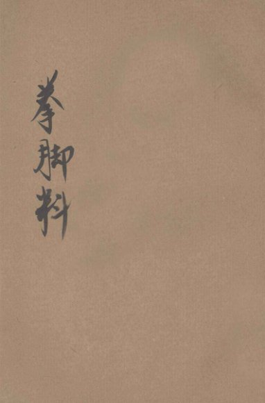 中华新武术拳脚科