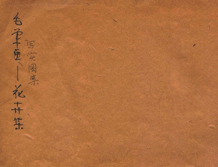 毛笔写实图案  花卉集