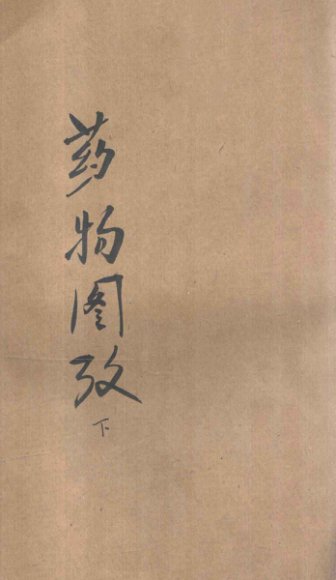 药物图考  卷4-6