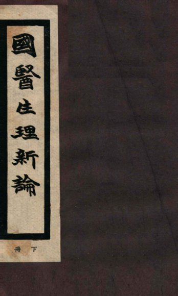 国医生理新论  下