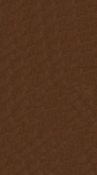 黄帝内经素问  卷5