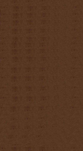 黄帝内经素问  卷8下-卷9