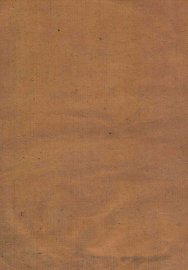 唐代海东藩阀志存 - 封面图