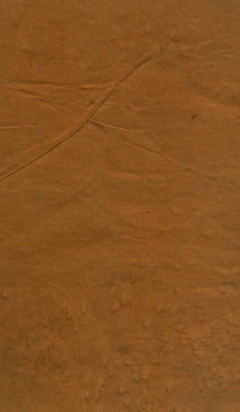 太祖高皇帝实录稿本三种  乙  上