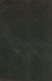 番汉合时掌中珠  恆农