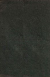 番汉合时掌中珠  专志