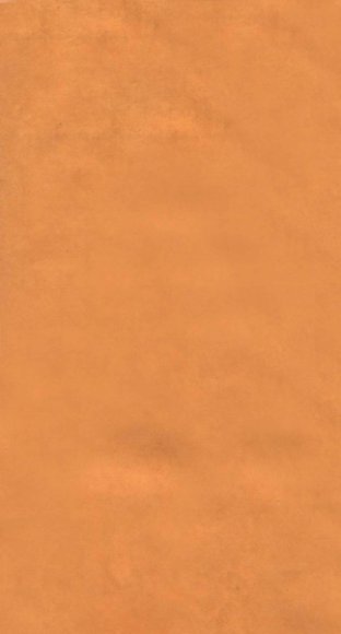 颜李遗著  颜习斋先生言行录