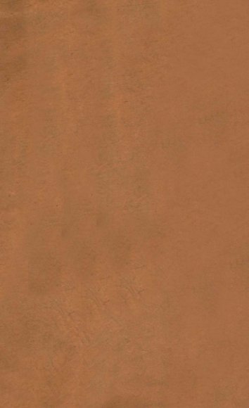 世补斋医书  女科卷上中下