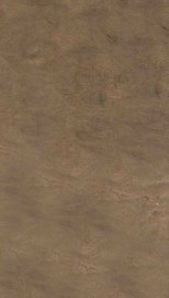 庆勤僖公荣哀录 - 封面图