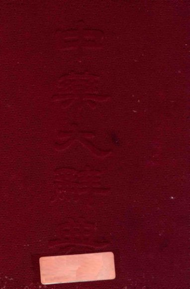 中国药学大辞典