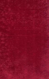 铜人经穴图考  全1册