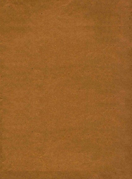 玉面狐狸  下  香江实事小说