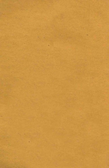 牝贼情丝记  上