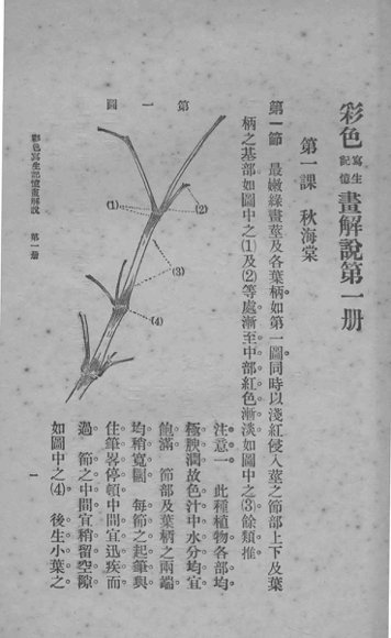 新体彩色写生记忆画解说  第1册