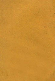 西湖博览会指南