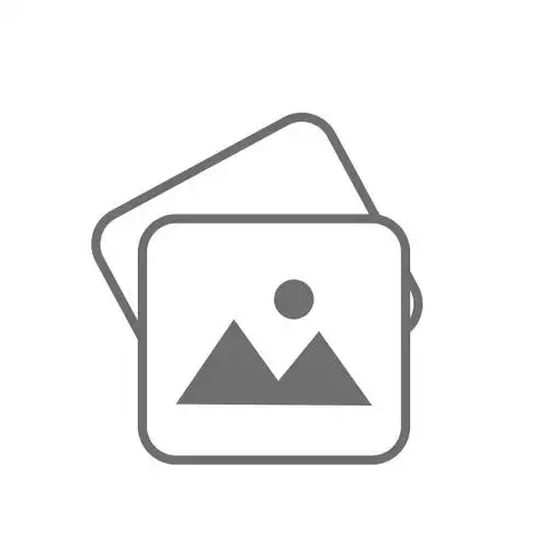 段成式 - 封面图