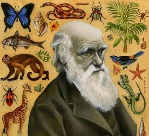 进化论 - 封面图